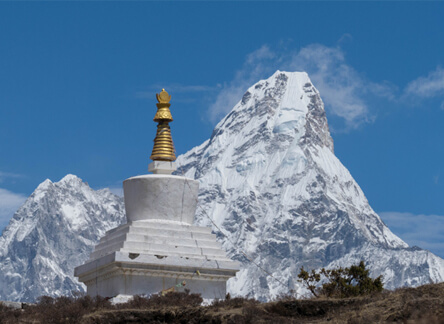 BOOK - HIMALAYAN LESSONS